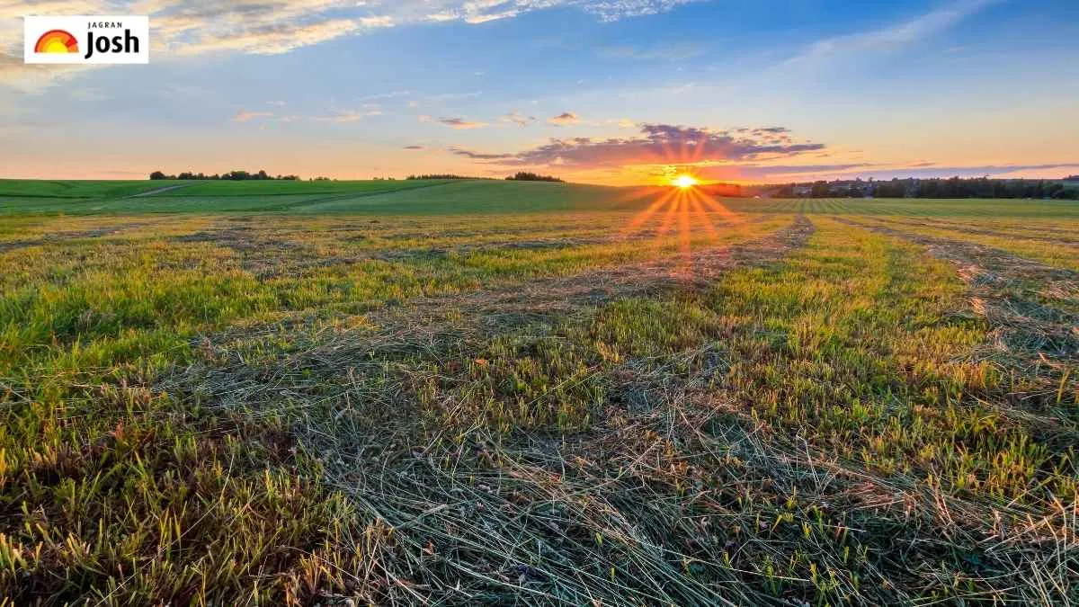 Which Sector Is Known as the ‘Backbone of Indian Economy’?